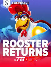 A Experiência Imersiva dos Cassinos Ao Vivo no 777Bet